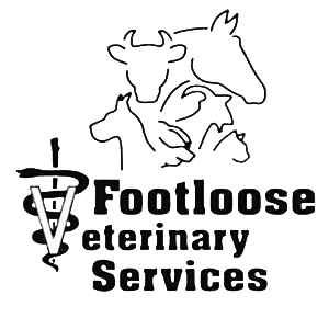 Footloose Veterinary Services